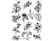 17354 Set tampons acryliques Fleurs et plantes 14x18cm Innspiro - Article1