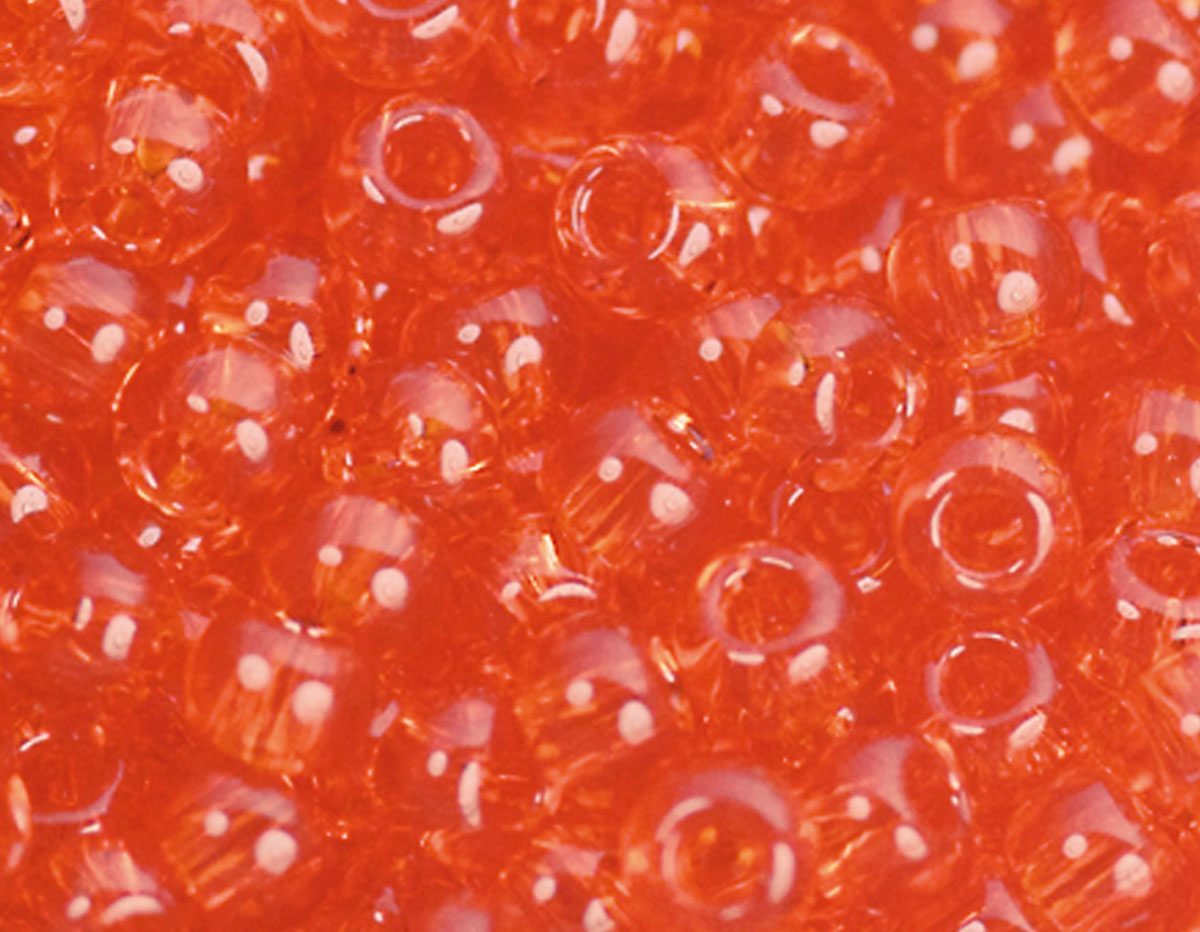 Z180005 180005 Perles japonaises rocaille transparent rouge Toho