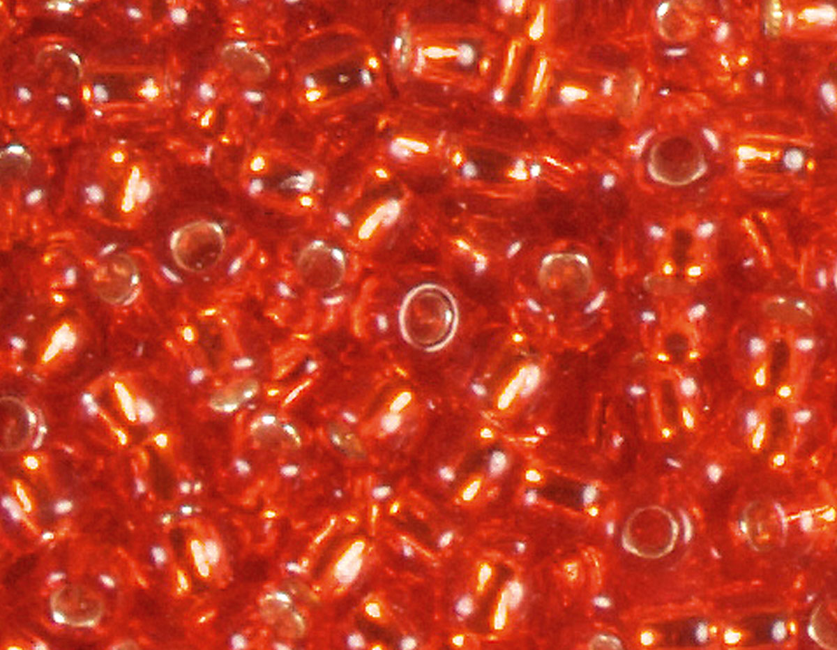Z180025 180025 Perles japonaises rocaille argente rouge Toho