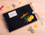 1931 Flor seca prensada mini chrysanthemum with stem verde Innspiro - Ítem2