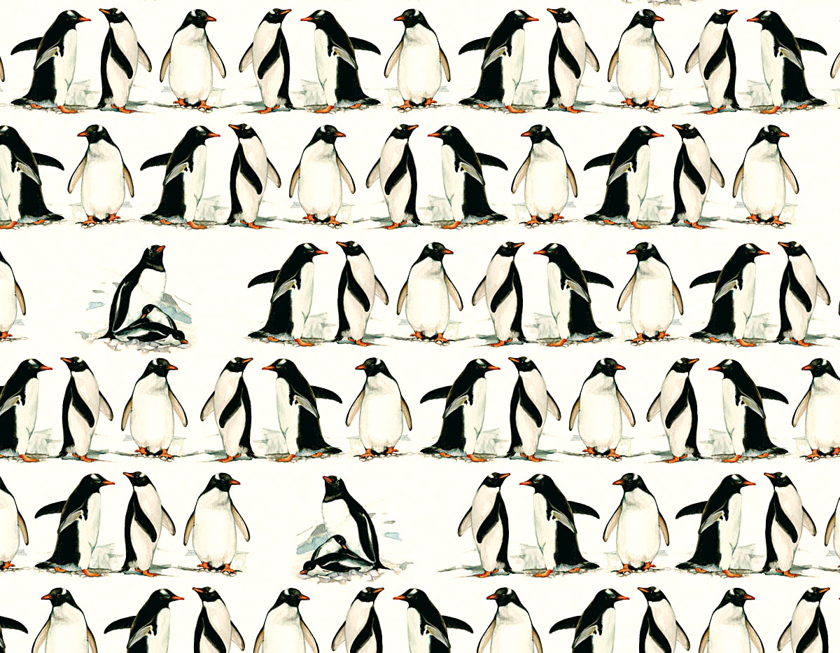 300309 Papel para decoupage pinguino Innspiro