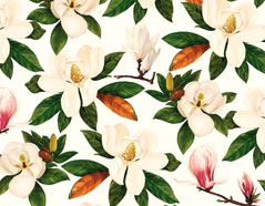 300312 Papier pour decoupage magnolia Innspiro - Article