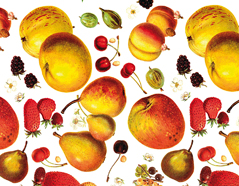 301624 Papier pour decoupage fruit Innspiro - Article