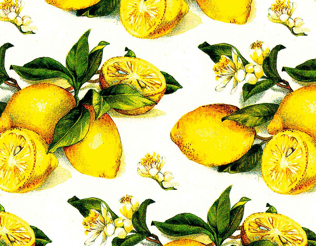 301698 Papel para decoupage limones Innspiro