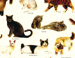 301700 Papel para decoupage gatos Innspiro - Ítem