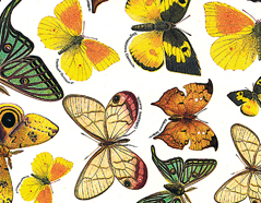 301717 Papier pour decoupage papillons Innspiro - Article