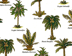 301719 Papier pour decoupage palmiers Innspiro - Article
