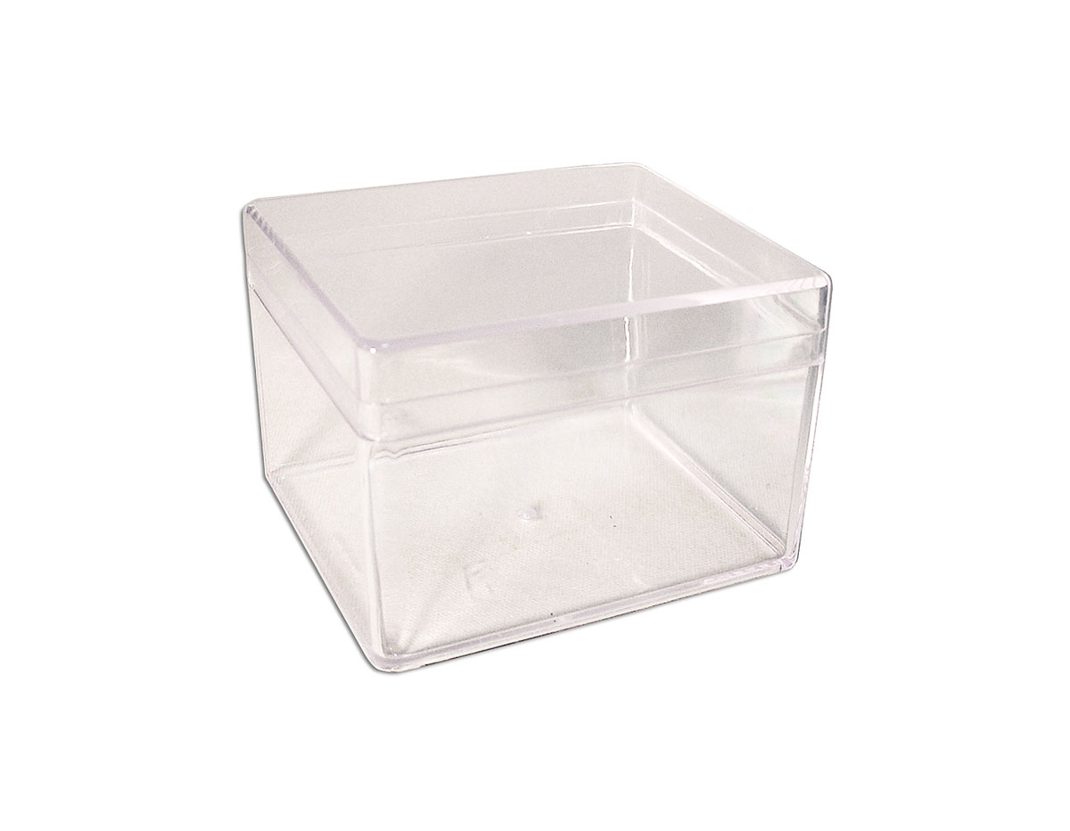 325 Caja plastico rectangular transparente Innspiro