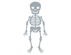 41130 Troquel fino ZAG Halloween esqueleto Misskuty - Ítem