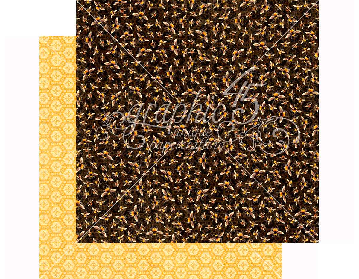 4501480 Papier double face NATURE SKETCHBOOK Harmonique Honeybes Graphic45