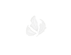 97321 Plumule blanc Innspiro - Article