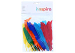 97330 Plumes indien mix couleur Innspiro - Article1