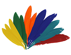 97340 Plumes indien mix couleurs Aprox 30mx200mm Innspiro - Article