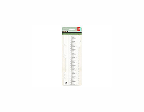 CPT-4256 CAPTURE - TRACING RULER Basic Grey
