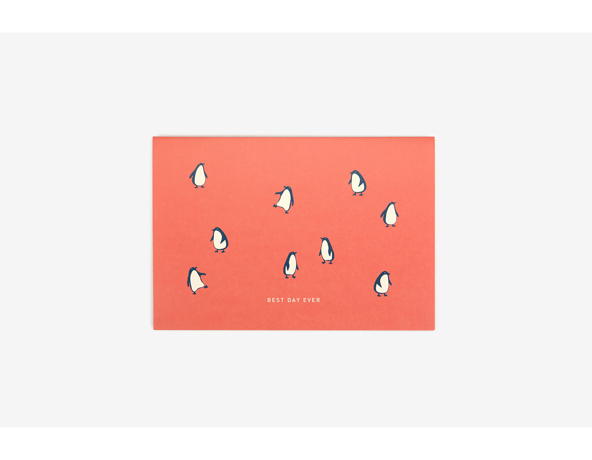 DLC06 Tarjeta album penguin Dailylike