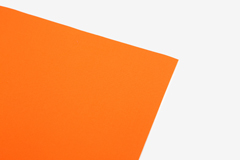 DLFS70 Hoja adhesiva algodon sun orange Dailylike - Ítem