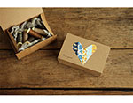 DMT1S29 Cinta adhesiva masking tape washi forget-me-not Dailylike - Ítem3