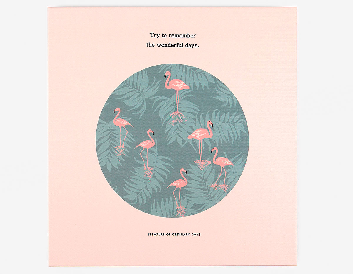 DPA18 Album flamingo Dailylike