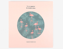 DPA18 Album flamingo Dailylike - Article