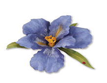E659256 THINLITS-FLOWERS VINES AND TREES- Set 10PK-Flower Bearded Iris by SUSAN TIERNEY - COCKBURN Sizzix - Ítem