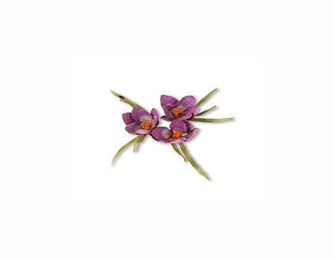 E659258 THINLITS-FLOWERS VINES AND TREES-Set 13PK-Flower Crocus by SUSAN TIERNEY - COCKBURN Sizzix