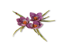 E659258 THINLITS-FLOWERS VINES AND TREES-Set 13PK-Flower Crocus by SUSAN TIERNEY - COCKBURN Sizzix - Article