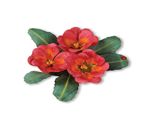E659263 THINLITS-FLOWERS VINES AND TREES-Set 10PK-Flower Primrose by SUSAN TIERNEY - COCKBURN Sizzix - Article