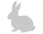 E661785 Troquel THINLITS Cute bunny by Samantha Barnett Sizzix - Ítem2