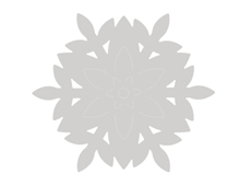 E663003 Matrice de decoupe BIGZ Snowflake Decoration Sizzix - Article2