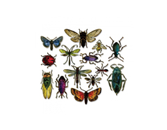 E663068 Set 14 troqueles FRAMELITS Entomology by Tim Holtz Sizzix - Ítem