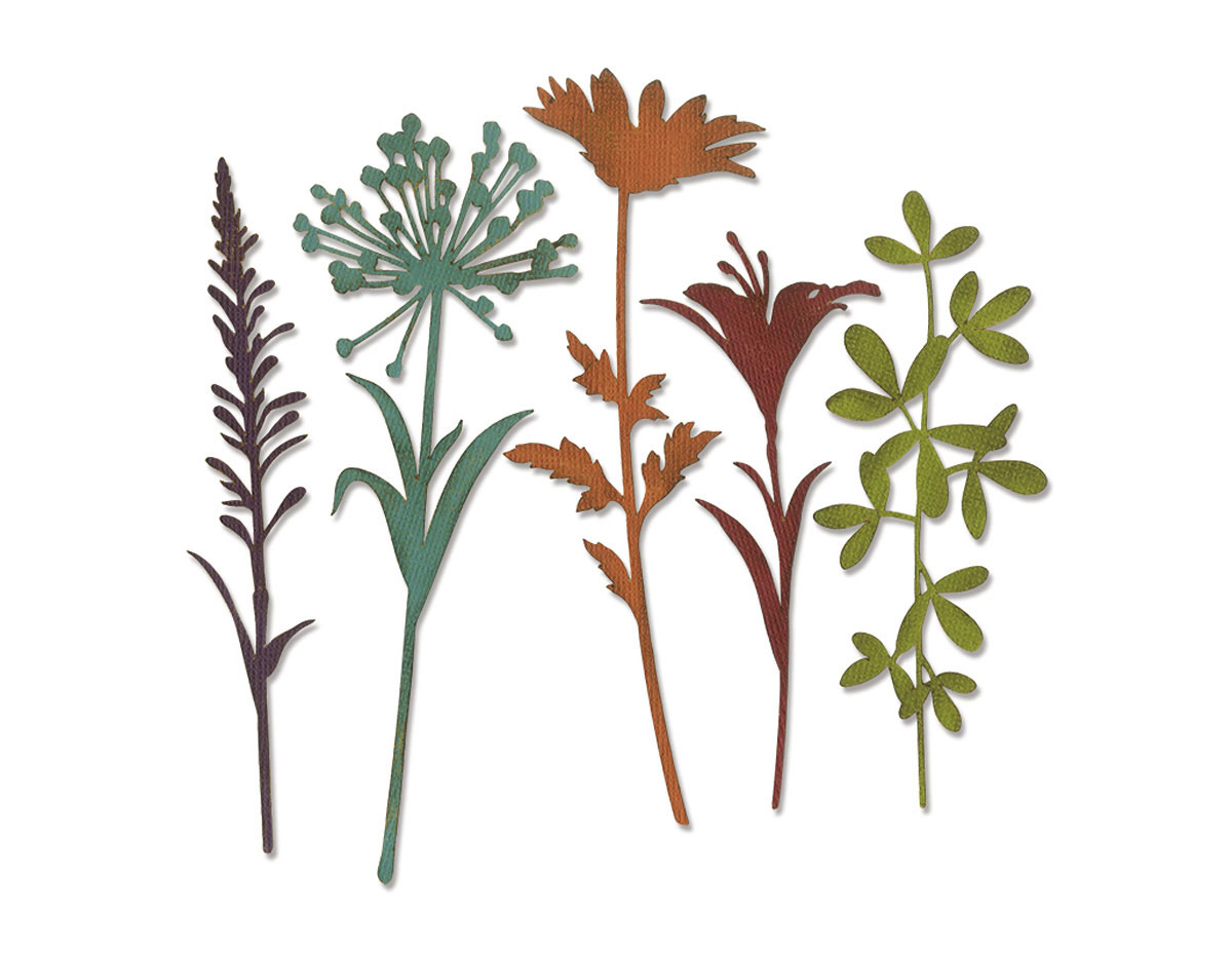 E664164 Set 5 troqueles THINLITS Wildflower stems 2 by Tim Holtz Sizzix
