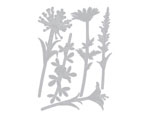 E664164 Set 5 troqueles THINLITS Wildflower stems 2 by Tim Holtz Sizzix - Ítem2