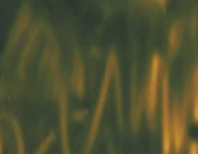 K42721 Pintura vidrio GLAS DESIGN verde oliva Kreul - Ítem