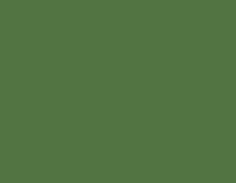 K79009 Pintura acrilica brillante verde oliva Kreul