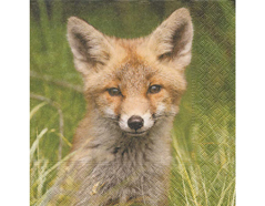 P200368 Servilletas papel Foxy fox 33x33cm 20u Paper Design - Ítem
