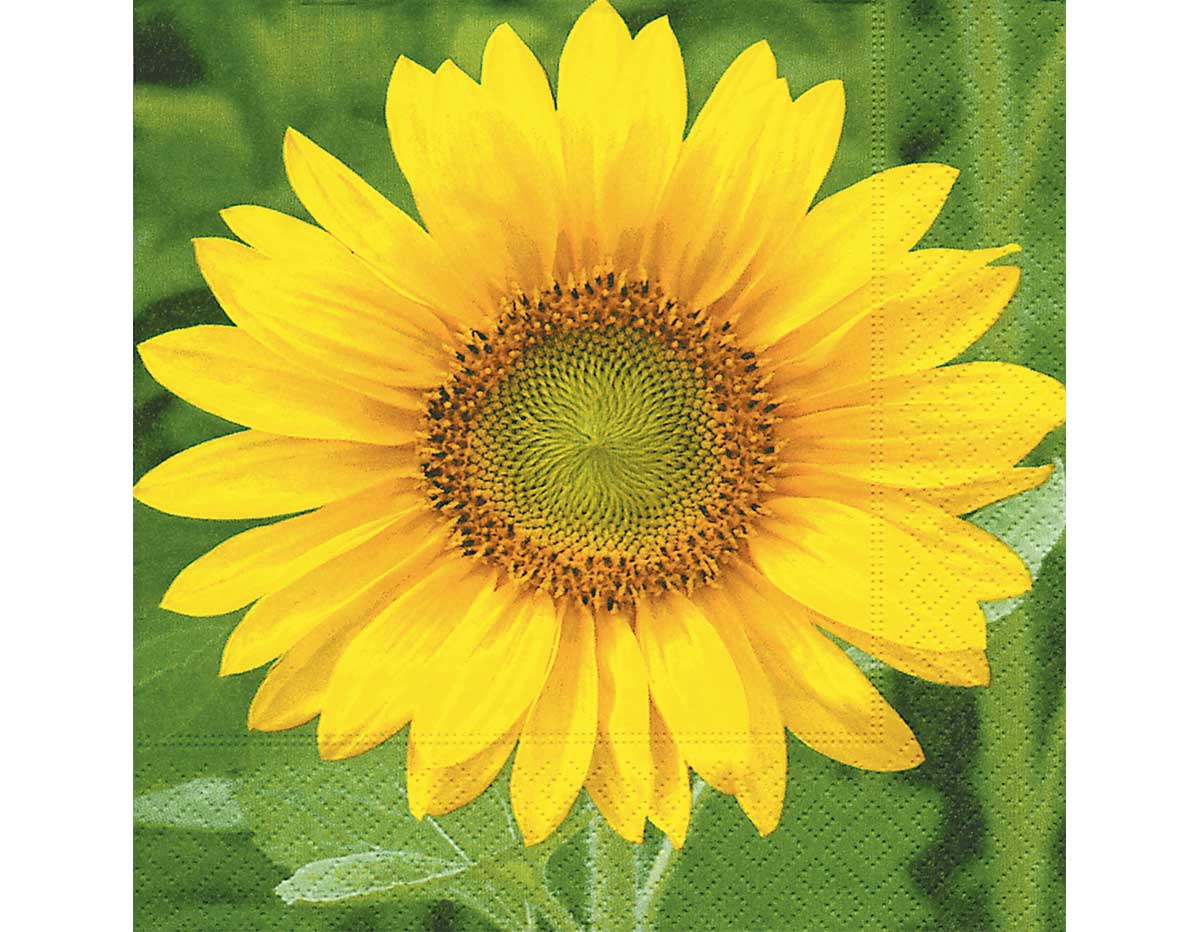 P200641 Servilletas papel Sunflower Paper Design