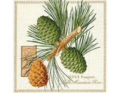 P200725 Serviettes de papier Mountain pine Paper Design - Article