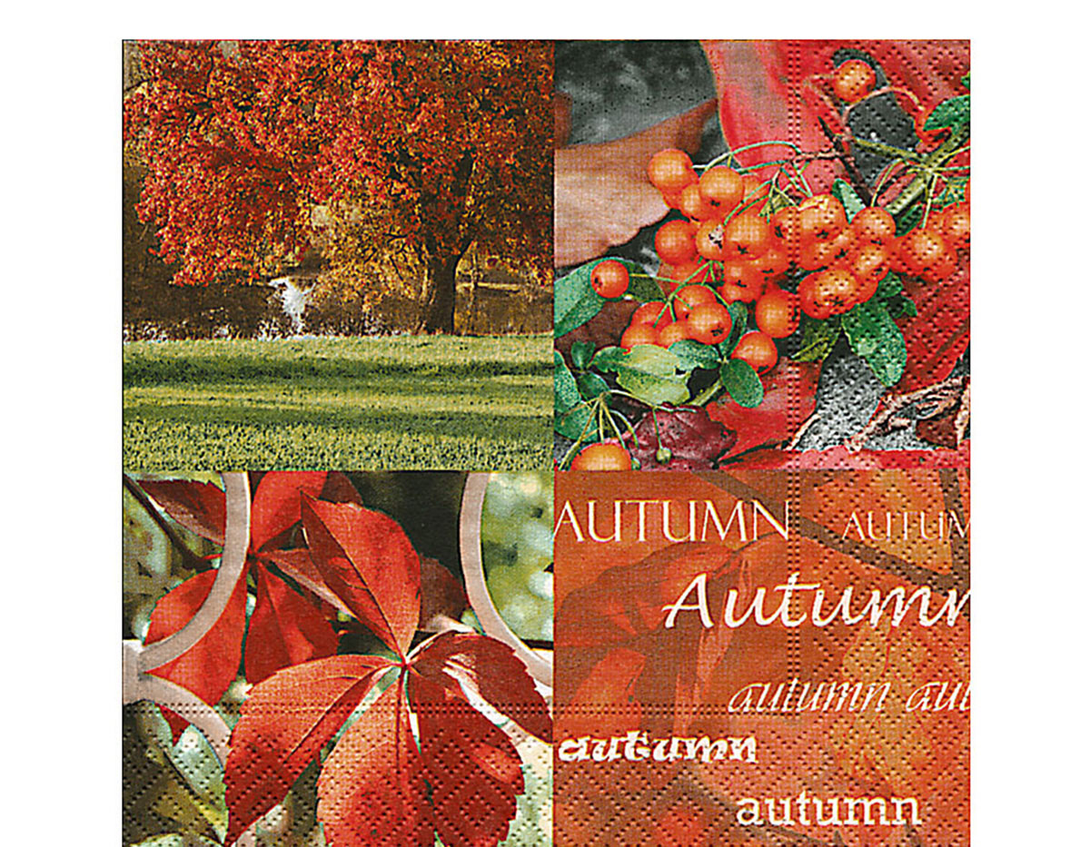 P21628 Serviettes papier autumn nature Paper Design