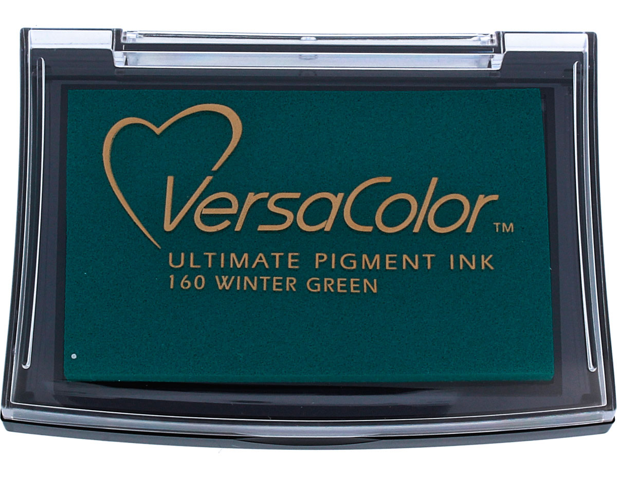 TVC1-160 Tinta VERSACOLOR color verde invierno opaca Tsukineko