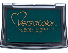 TVC1-160 Tinta VERSACOLOR color verde invierno opaca Tsukineko - Ítem
