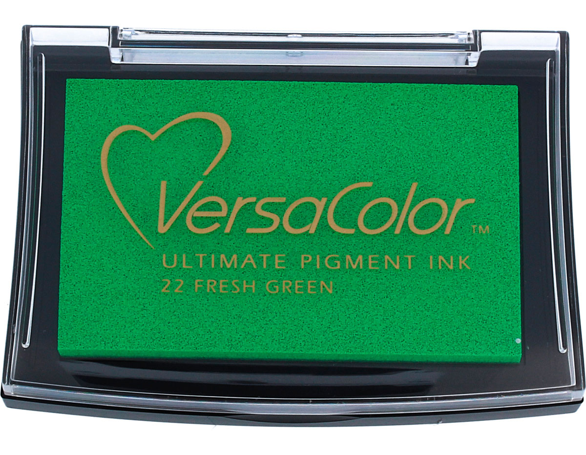 TVC1-22 Tinta VERSACOLOR color verde claro opaca Tsukineko