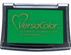 TVC1-22 Tinta VERSACOLOR color verde claro opaca Tsukineko - Ítem