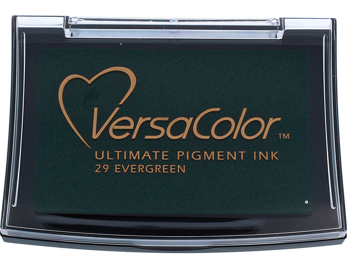TVC1-29 Tinta VERSACOLOR color hoja perenne opaca Tsukineko