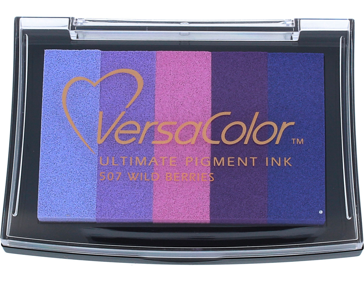 TVC5-507 Tinta VERSACOLOR 5 colores bayas silvestres opaca Tsukineko