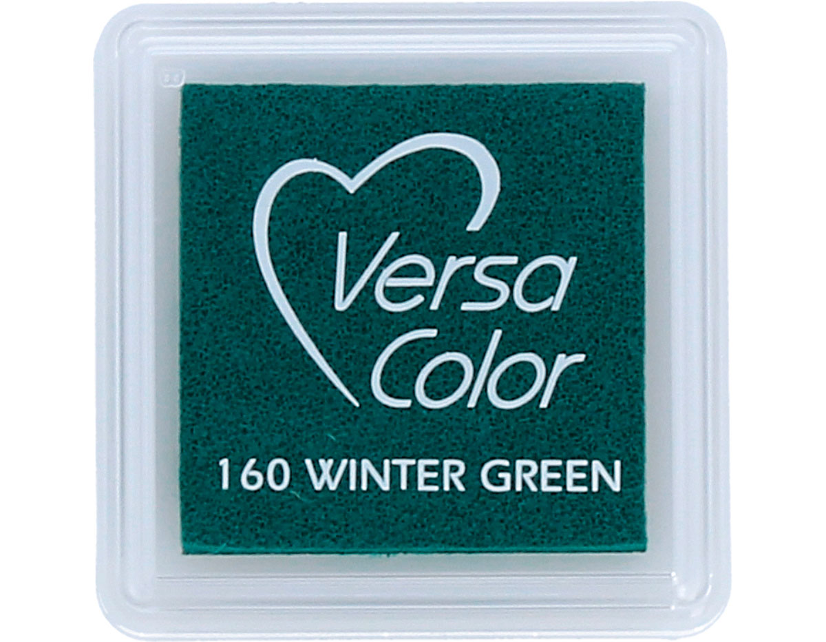 TVS-160 Tinta VERSACOLOR color verde invierno opaca Tsukineko