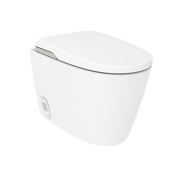 Inodoro In-Wash Insignia con In-tank Roca - adosado a pared