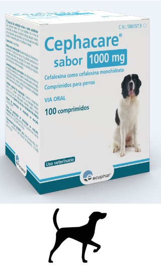 CEFALEXINA 1000 mg