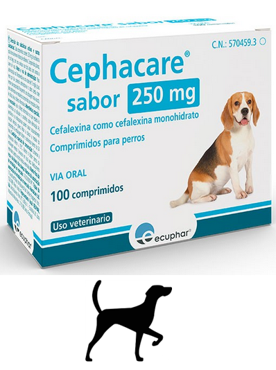 CEFALEXINA 250 mg
