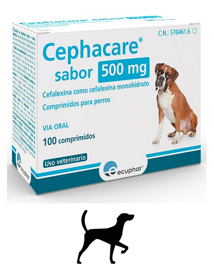 CEFALEXINA 500 mg