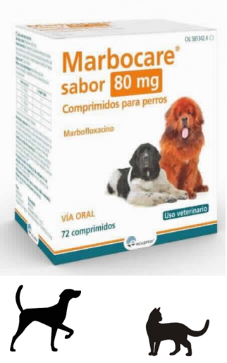MARBOFLOXACINO 80 mg